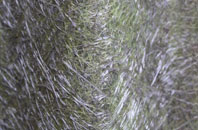 Herne Hill fibreglass roof work